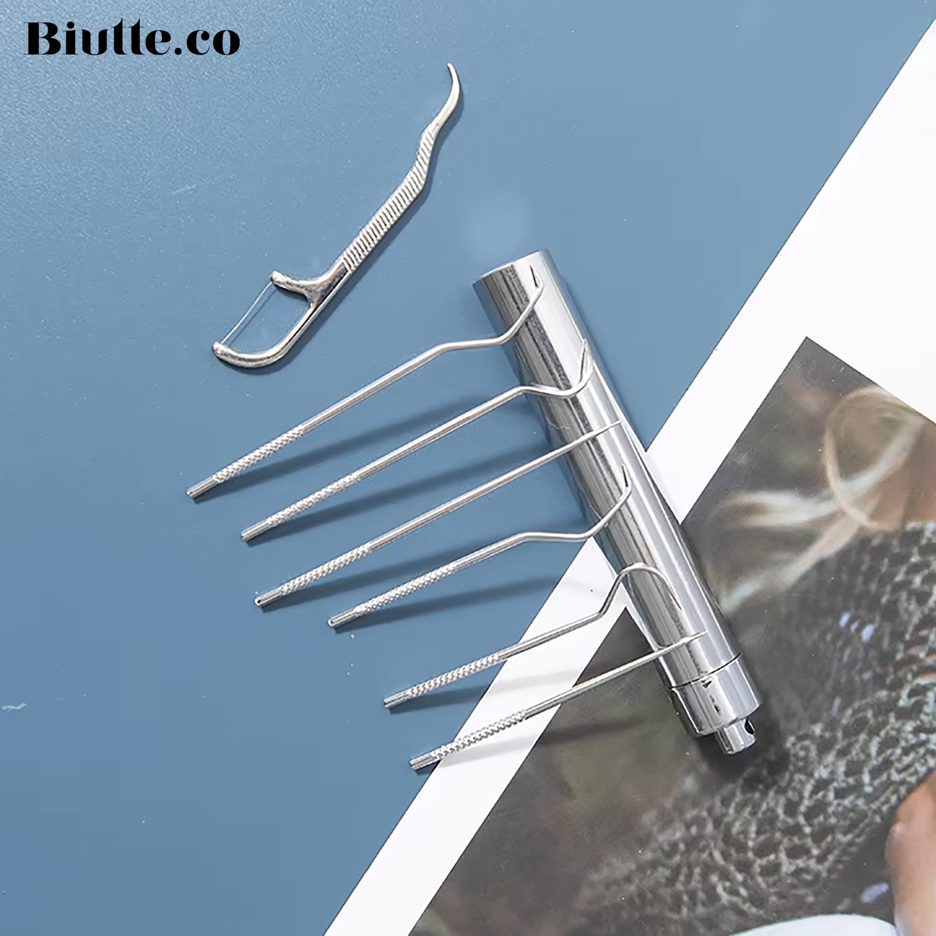 Tusuk Gigi Stainless Steel Toothpick Portable Carry 7 PCS