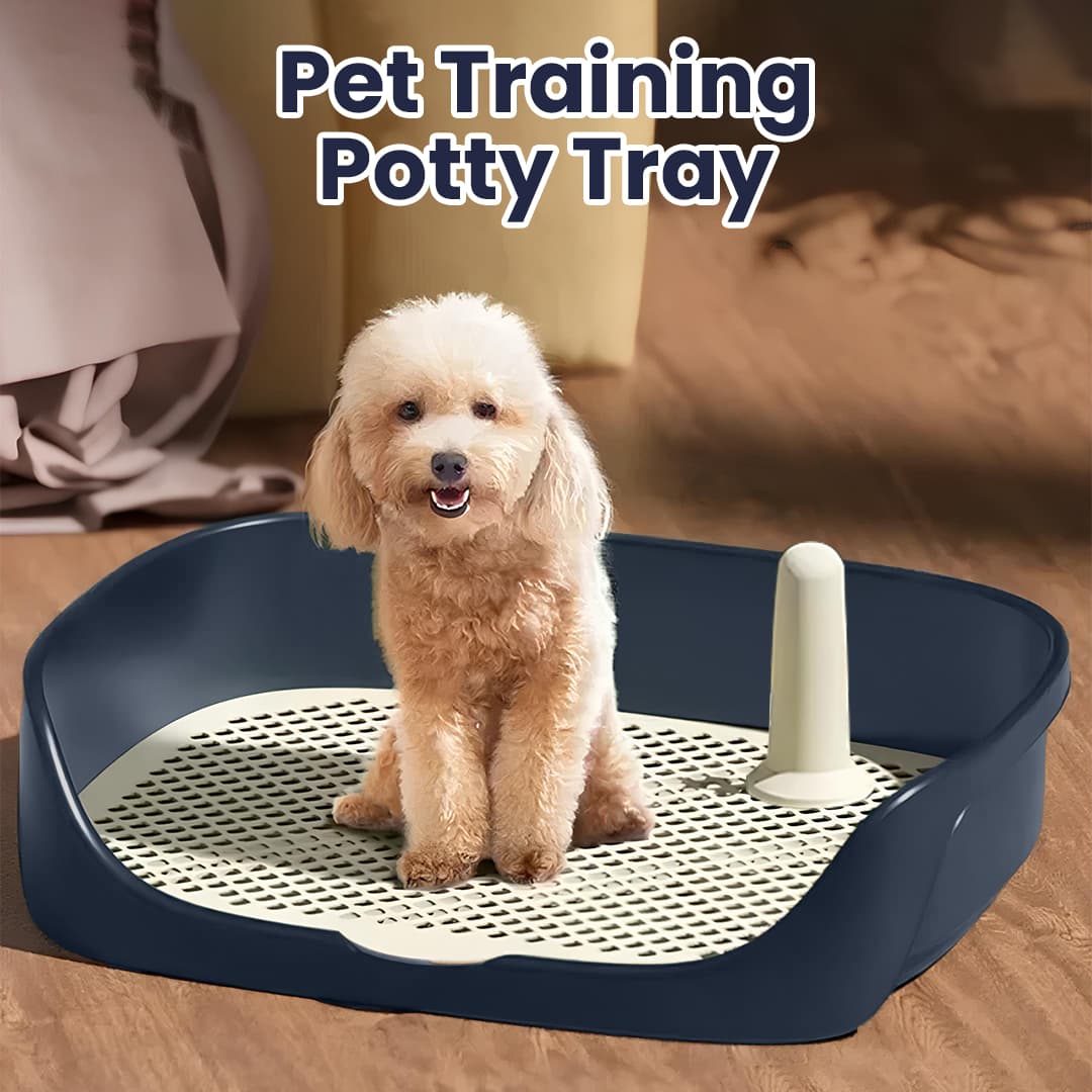 Tempat Pipis Anjing Kucing Pet Training Potty Tray Detachable - Baoblaze Tempat Pipis Anjing Kucing Pet Training Potty Tray Detachable - BB-40 HT9NBL_BIRU Tempat Pipis Anjing Kucing Pet Training Potty Tray Detachable - Baoblaze Tempat Pipis Anjing Kucing Pet Training Potty Tray Detachable - BB-40 HT9NBL_BIRU