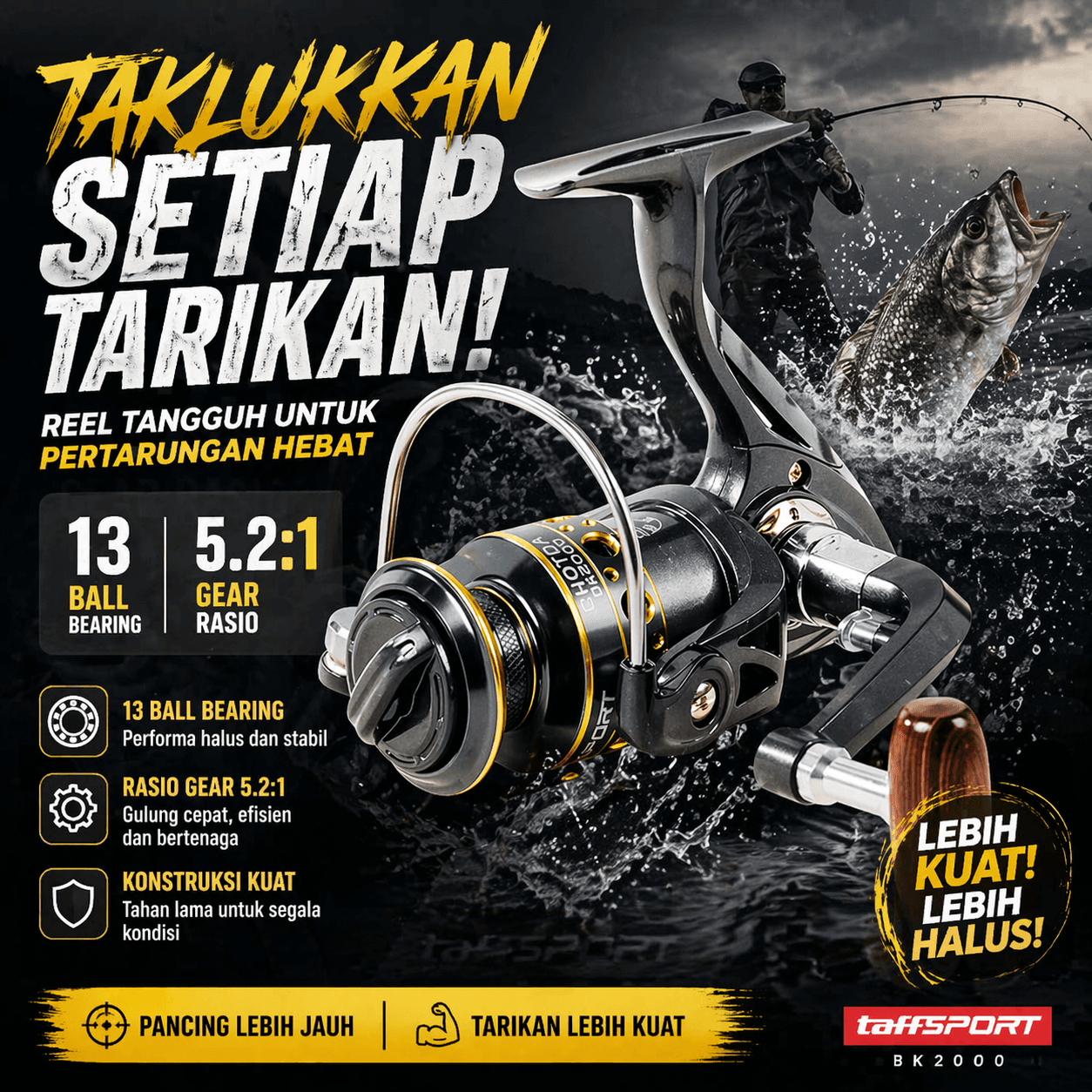 Reel Pancing Spinning Fishing 5.2:1 BB 13